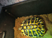 Female Hermann tortoise