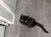 Rehoming of shadow