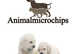 Mobile Microchipping
