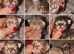 Tica Registered Purebred Savannah kittens
