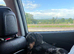 Dachshund for sale - Smokey