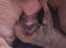 Have one beautiful only little girl available
