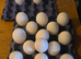 Hatching Eggs