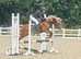 Pony club super star