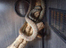 Centralian python Bredls python