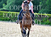Fun teenager event show jumper project