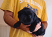 5 beautiful puppies