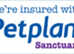Cat & Dog microchipping in Doncaster