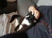 Cats for rehoming