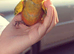 Son conures silly tamed babies available