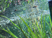 Platted/molles
