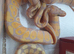 Hatchling royal/ball pythons