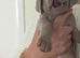 Silver Weimaraner puppies champion bloodlines