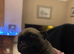 Beautiful Purebred Pug Puppy for sale