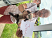 Ferret Kits for sale