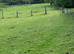 Grazing land plots available