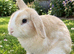 Peanut butter needs a new home