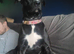 Bella needs a home