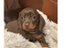 One smooth boy available reduced as ready to go