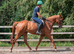 EYE-CATCHING BRP WITH REAL PRESENCE, A KIND NATURE, AND A STANDOUT, AFFECTIONATE PERSONALITY.