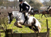 Super all round cob