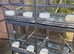 Large Double Cages on stand