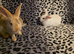 Bunnies