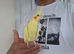 Super silly hand tamed baby cockatiels