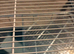 Hamster cage