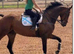Schoolmaster