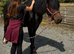 Poppy - Gorgeous Weight Carrier Type Mare
