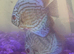 Blue Turk discus 3 for £90