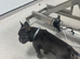 Blue male French bulldog 18 months