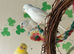 Young unsexed canaries