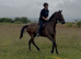Prestige Runner