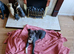 Selling pup