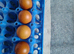 French Silver Lavender Marans Fertile Eggs for Hatching