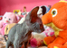 Beautiful Sphynx Kittens - Ready 5th October
