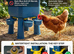 2-Piece Chicken Drinker Set (11L & 7L) &ndash; Automatic Anti-Waste Valve, BPA-Free