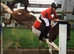 2 stables available for backing and schooling livery