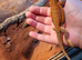 Stunning bearded dragon for sale