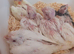 Baby cockatiels various colours