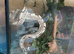 4 year old python spider morph