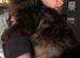 Maine coon cross British longhair last girl available