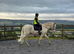 Equine freelance groom