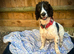 2 year sprocker