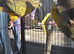 2 Patagonian Conure