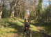 Dutch herder