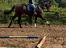 Smart Allrounder In The Making