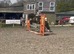 Bracken 13’3/14hh 4 year old Cob